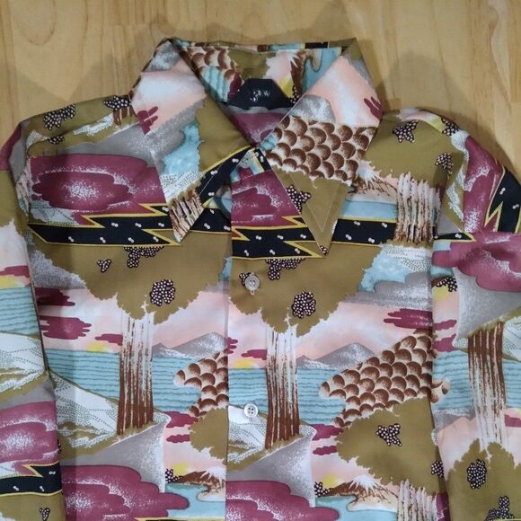 Vintage Bud Berma Psychedelic Landscape Pattern Polyester Disco Shirt - Picture 1 of 7